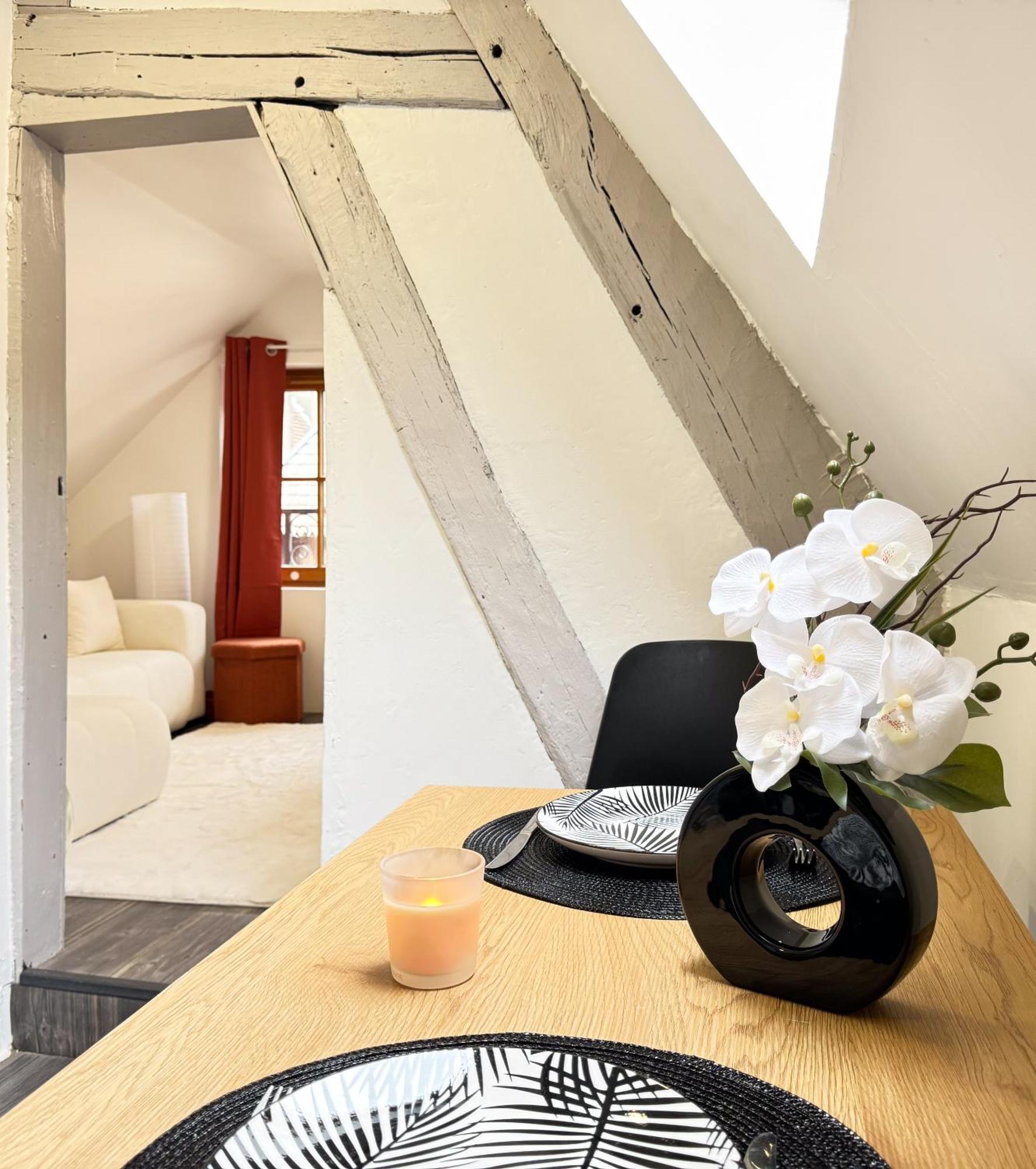 Appartamento La Douceur - Hypercentre Pieton De Troyes - Cozy Esterno foto
