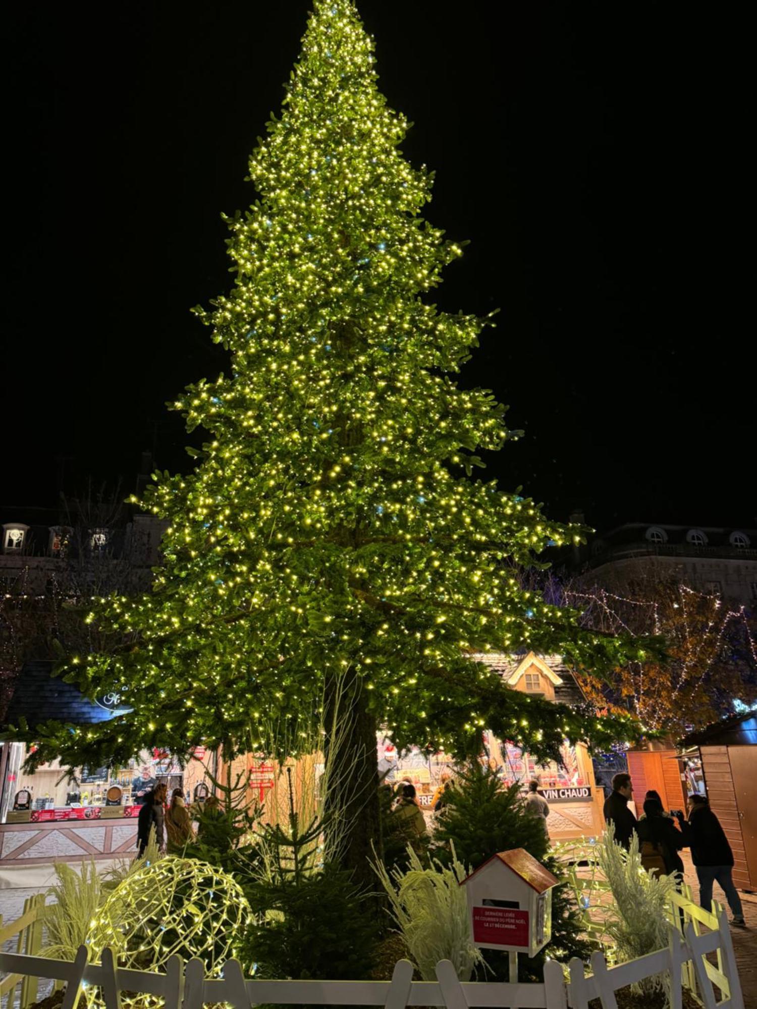 Appartamento La Douceur - Hypercentre Pieton De Troyes - Cozy Esterno foto
